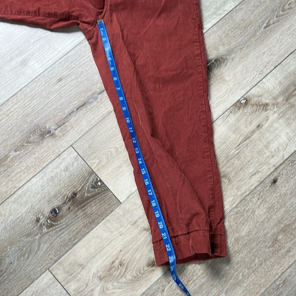 Marine Layer Bridget Corduroy
Crop Pant Size 6 Brown Red Rust - Picture 10 of 12